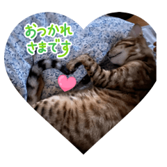 Misaki_20250724202128