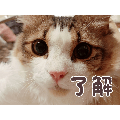 Yuina_20250724084130