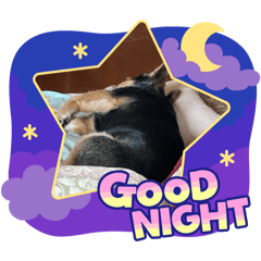 NAGISA_20250724085625