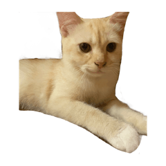 Jimmy_20250724203606