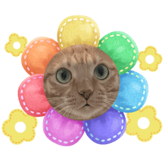 The Lai family’s kids