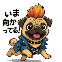 Rock-style Pug