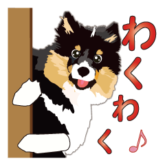 Exciting Sheltie - Energetic Try