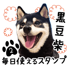 Japanese Mameshiba 2