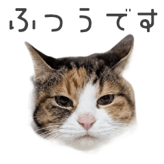 ふつうのちまきスタンプ