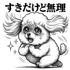 The Truth About Toy Poodles second