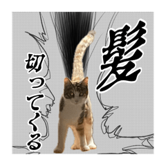 ameotoko_20250724144005
