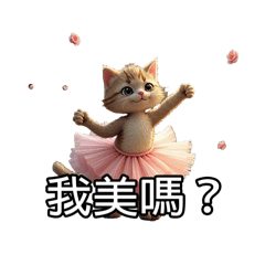 很忙的小貓