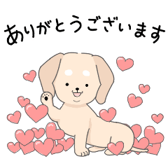 My color ダックスフンド　イエロー