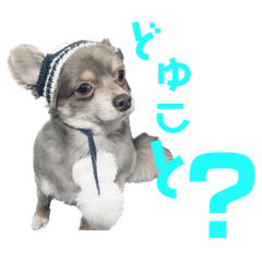 marina_20250724123932