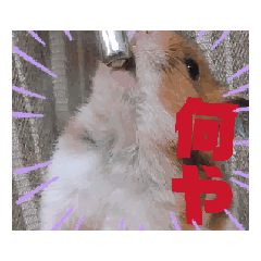 yasu_20250725115703