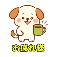 Cute dog51