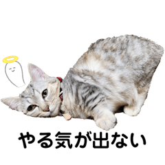 marina_20250724154303