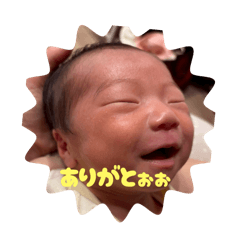 moe_20250724154925