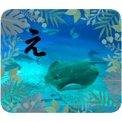 nanami_20250724161501