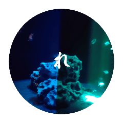 nanami_20250724161728