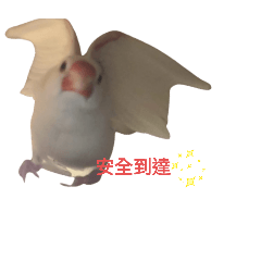 文鳥問候貼圖