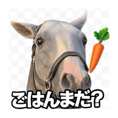 momo_20250723140641