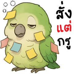 สั่งแต่กรู +_+