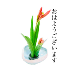 japanese flower arrangement