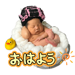 tiger_20250724162846