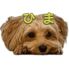 yurika_20250725002314