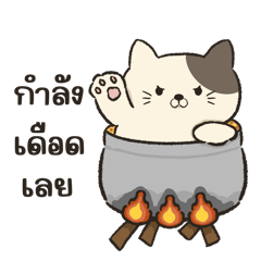 catcat funny mood v.1