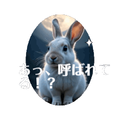 pan_20250725165447