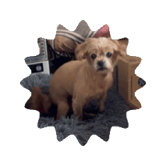 mireo_20250725164100