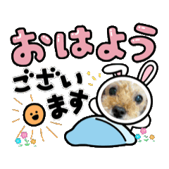 Mami_202507251828
