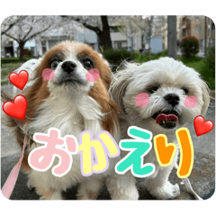 koko_20250724233854