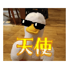 ahiru_20250725224535