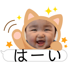 PANDA_20250725092331