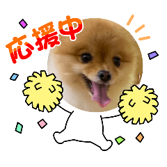 kinako_20250725103626