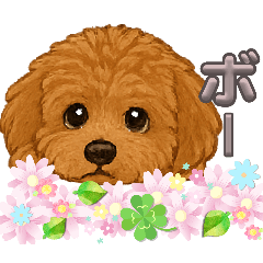 suzu_20250725104123