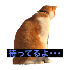 mizuki_20250725073541