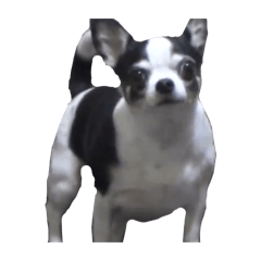 Kinaco_20250725002734