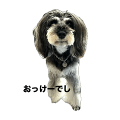 MONICA_20250724213716