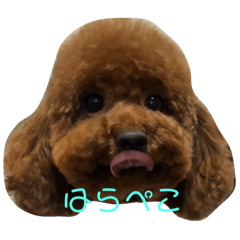 petit_20250724213357