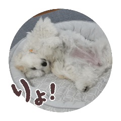 AKARI_20250725173738