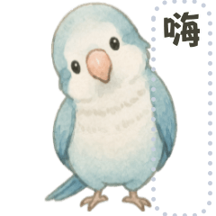 藍和尚鸚鵡｜自行發揮訊息貼圖