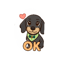 wiredhaireddachshund