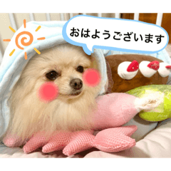 AKANE_20250725190939