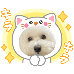 moco_moco_moco_2