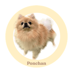 haruna_20250725180921