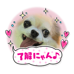 koko_20250725100814