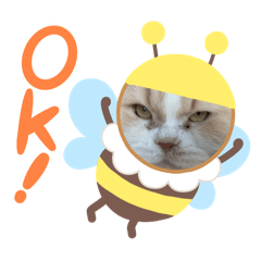 koko_20250725192455