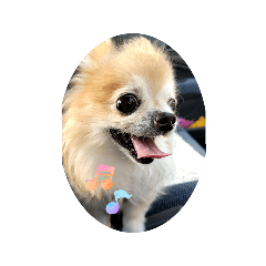 kazumi_20250725163128