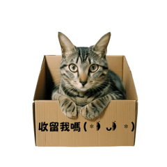 一歲八萬(˶‾᷄ ⁻̫ ‾᷅˵)