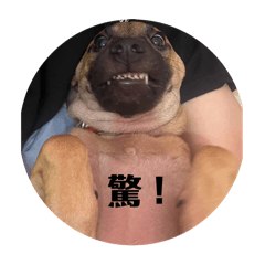 江江勘吉寶٩(˃̶͈̀௰˂̶͈́)و